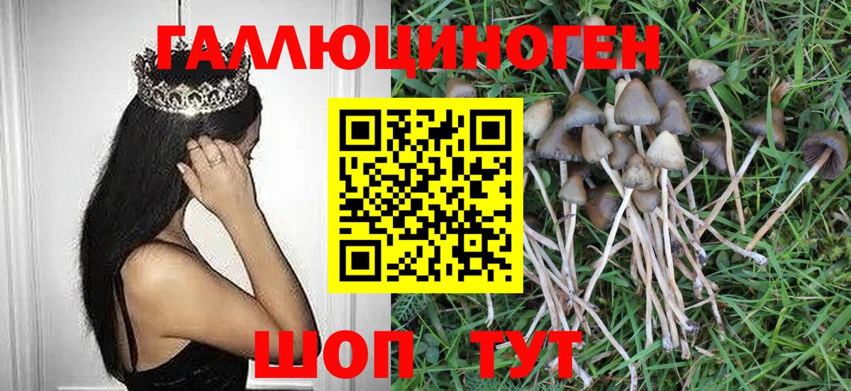 Псилоцибиновые грибы мицелий  Вход с VPN  Галлюциногенные грибы Psilocybine cubensis  Санкт-Петербург 