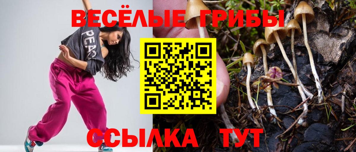 Галлюциногенные грибы GOLDEN TEACHER Санкт-Петербург